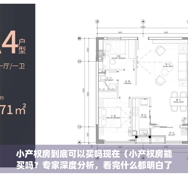 小产权房到底可以买吗现在（小产权房能买吗？专家深度分析，看完什么都明白了）