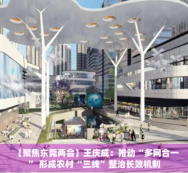 【聚焦东莞两会】王庆成：推动“多网合一” 形成农村“三线”整治长效机制