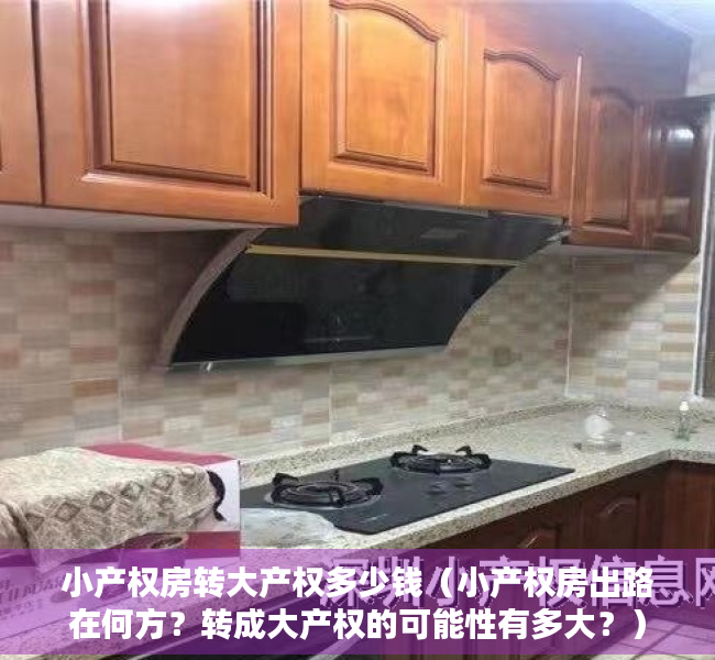 小产权房转大产权多少钱（小产权房出路在何方？转成大产权的可能性有多大？）