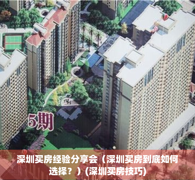 深圳买房经验分享会（深圳买房到底如何选择？）(深圳买房技巧)
