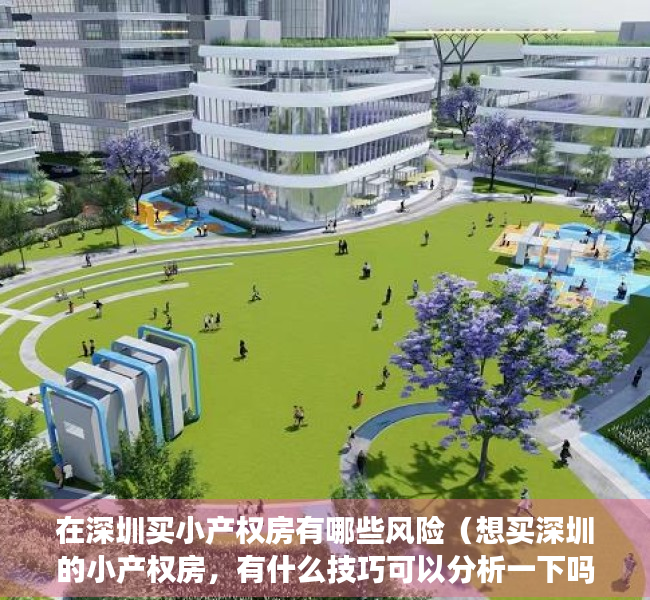 在深圳买小产权房有哪些风险（想买深圳的小产权房，有什么技巧可以分析一下吗？）