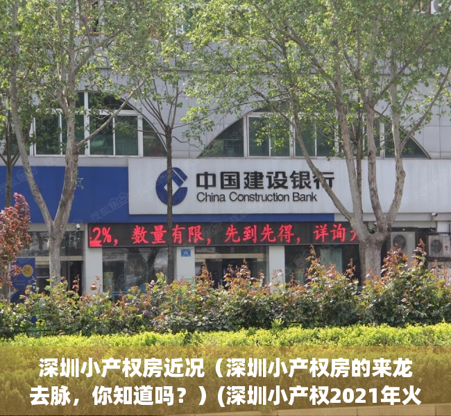 深圳小产权房近况（深圳小产权房的来龙去脉，你知道吗？）(深圳小产权2021年火了)