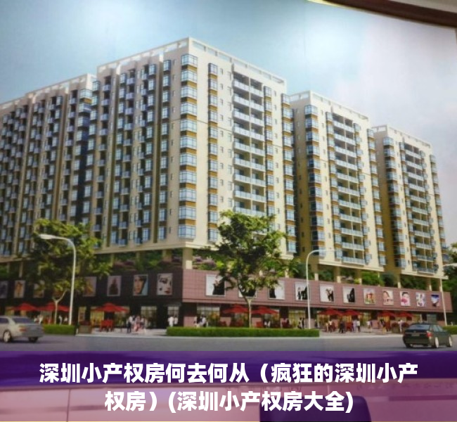 深圳小产权房何去何从（疯狂的深圳小产权房）(深圳小产权房大全)