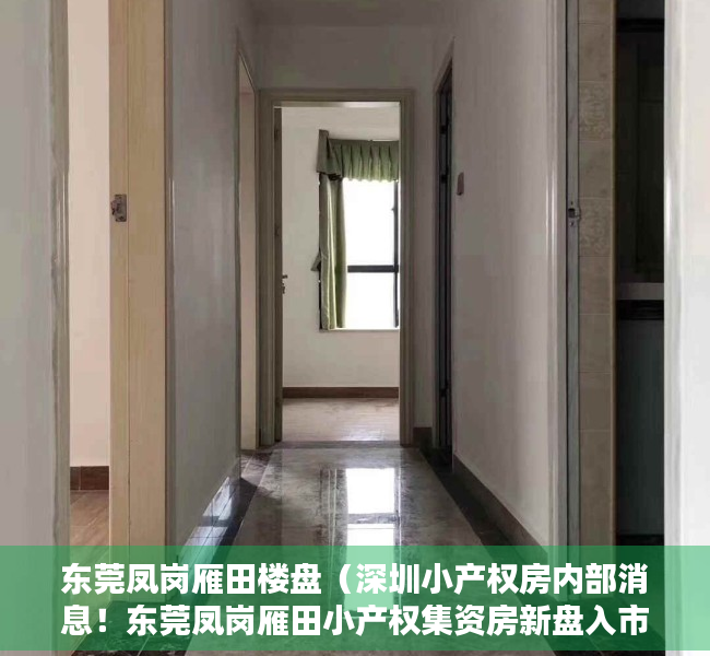 东莞凤岗雁田楼盘（深圳小产权房内部消息！东莞凤岗雁田小产权集资房新盘入市）
