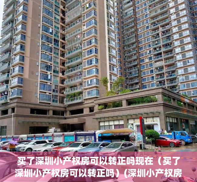 买了深圳小产权房可以转正吗现在（买了深圳小产权房可以转正吗）(深圳小产权房可以转卖吗)