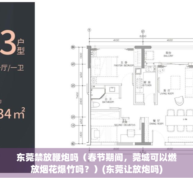 东莞禁放鞭炮吗（春节期间，莞城可以燃放烟花爆竹吗？）(东莞让放炮吗)