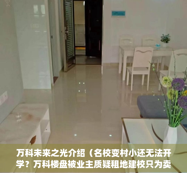 万科未来之光介绍（名校变村小还无法开学？万科楼盘被业主质疑租地建校只为卖房）