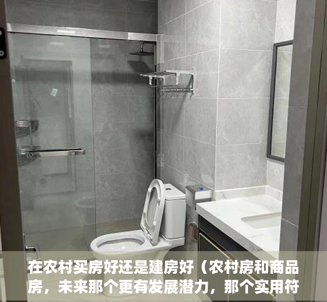 在农村买房好还是建房好（农村房和商品房，未来那个更有发展潜力，那个实用符合生活需求）