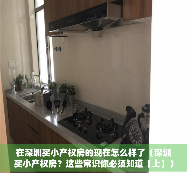 在深圳买小产权房的现在怎么样了（深圳买小产权房？这些常识你必须知道【上】）