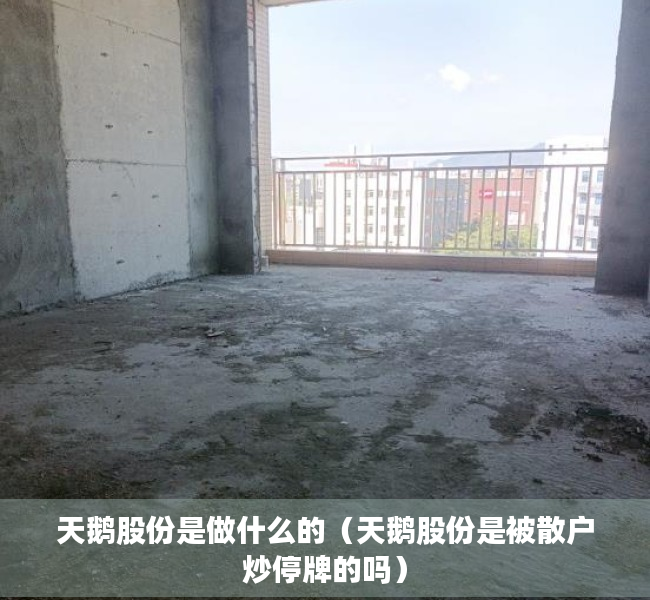 天鹅股份是做什么的（天鹅股份是被散户炒停牌的吗）