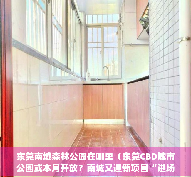 东莞南城森林公园在哪里（东莞CBD城市公园或本月开放？南城又迎新项目“进场”！）