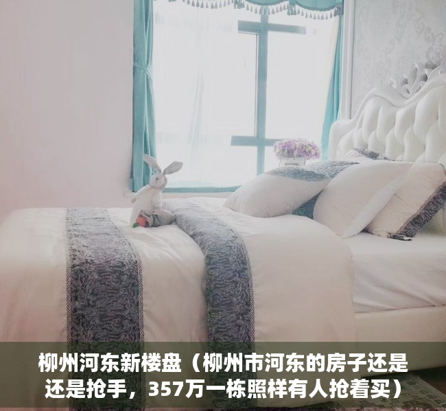 柳州河东新楼盘（柳州市河东的房子还是还是抢手，357万一栋照样有人抢着买）
