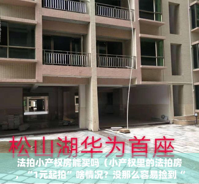 法拍小产权房能买吗（小产权里的法拍房，“1元起拍”啥情况？没那么容易捡到“便宜”）