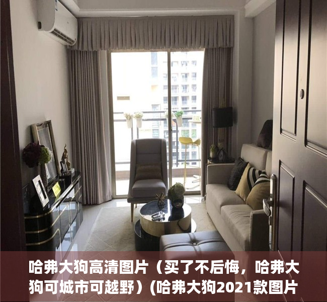 哈弗大狗高清图片（买了不后悔，哈弗大狗可城市可越野）(哈弗大狗2021款图片)