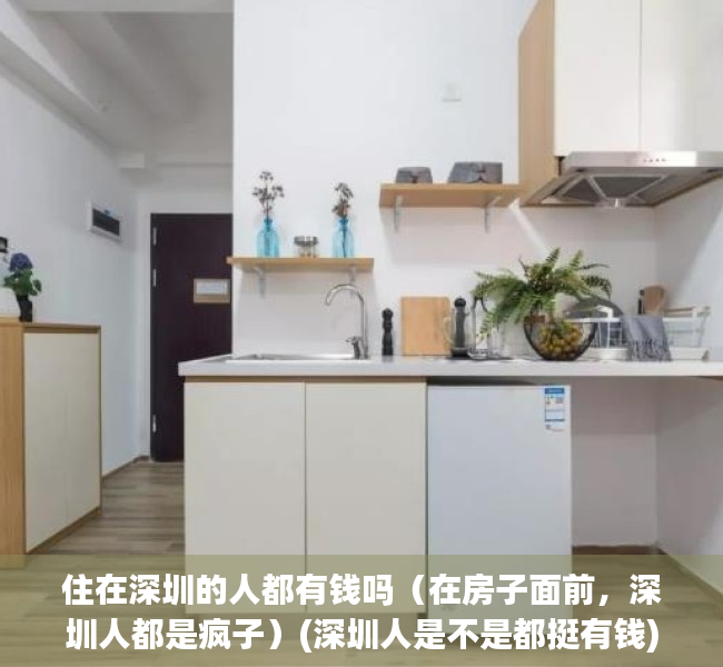 住在深圳的人都有钱吗（在房子面前，深圳人都是疯子）(深圳人是不是都挺有钱)