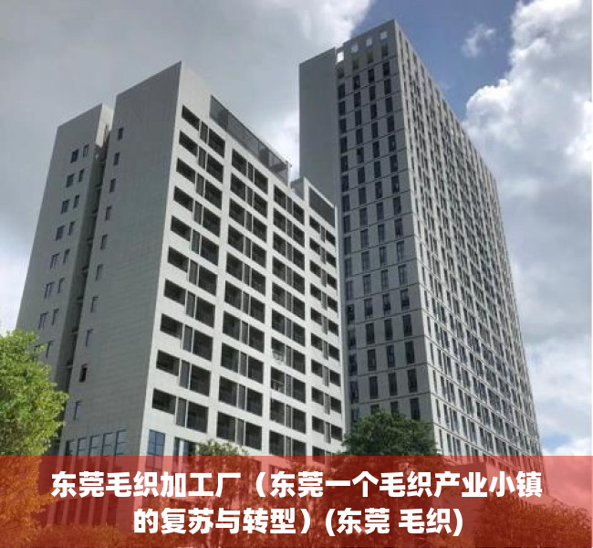 东莞毛织加工厂（东莞一个毛织产业小镇的复苏与转型）(东莞 毛织)