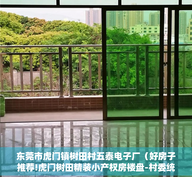 东莞市虎门镇树田村五泰电子厂（好房子推荐!虎门树田精装小产权房楼盘-村委统建楼）