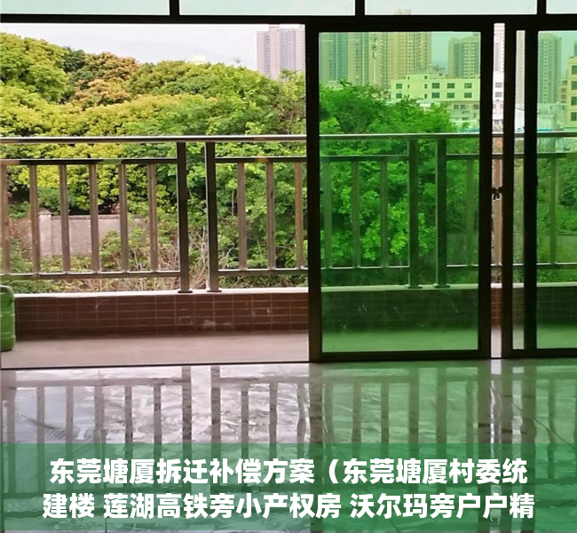 东莞塘厦拆迁补偿方案（东莞塘厦村委统建楼 莲湖高铁旁小产权房 沃尔玛旁户户精装修）
