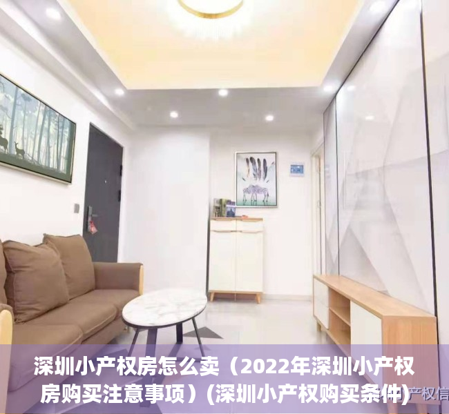 深圳小产权房怎么卖（2022年深圳小产权房购买注意事项）(深圳小产权购买条件)