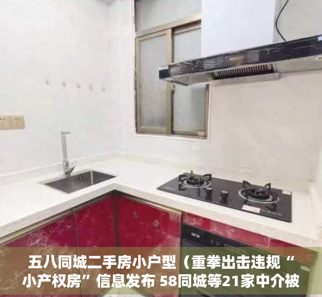 五八同城二手房小户型（重拳出击违规“小产权房”信息发布 58同城等21家中介被查）
