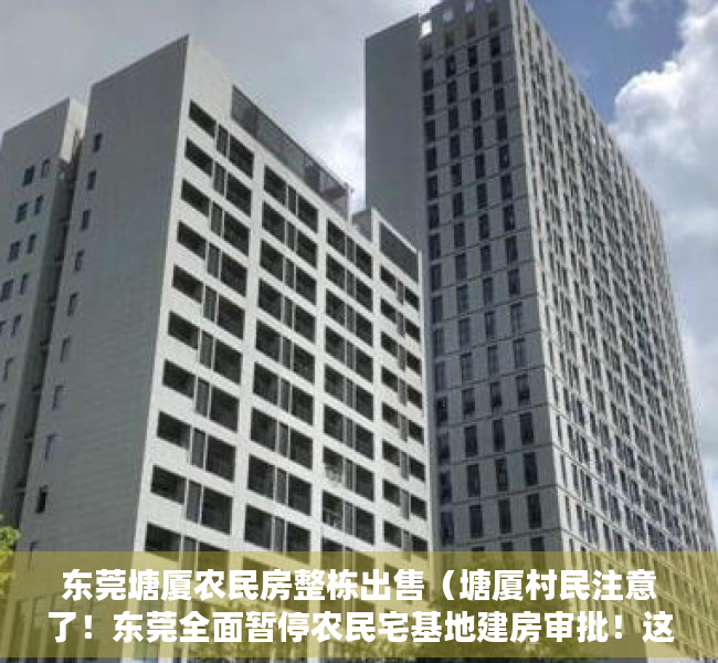 东莞塘厦农民房整栋出售（塘厦村民注意了！东莞全面暂停农民宅基地建房审批！这种自建房将被拆除！）
