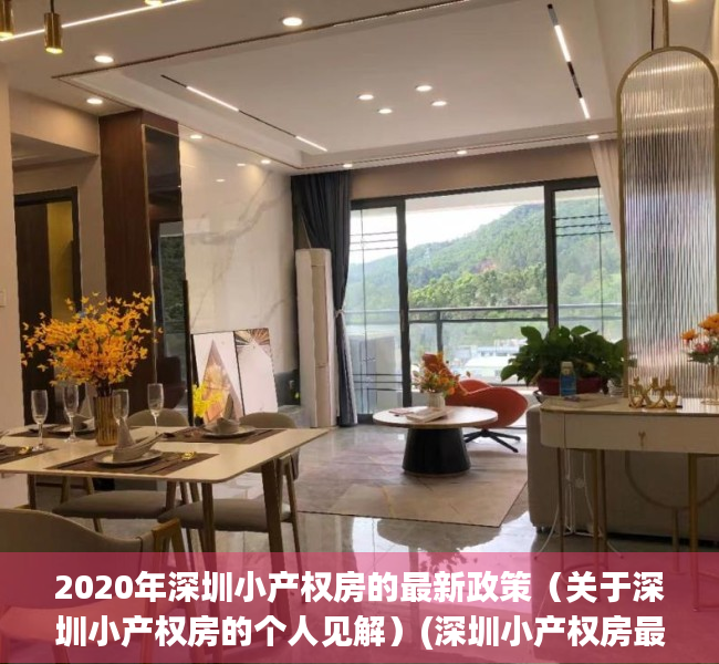2020年深圳小产权房的最新政策（关于深圳小产权房的个人见解）(深圳小产权房最新政策2020两会)