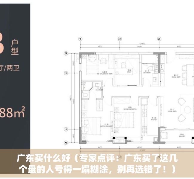 广东买什么好（专家点评：广东买了这几个盘的人亏得一塌糊涂，别再选错了！）
