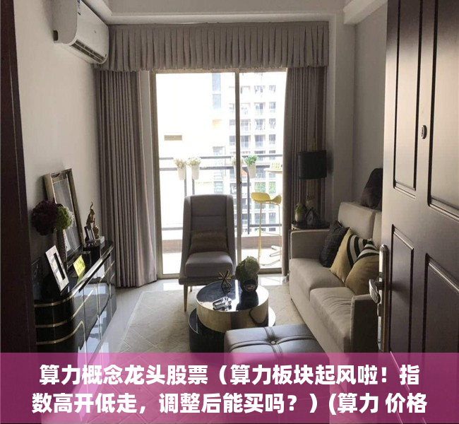 算力概念龙头股票（算力板块起风啦！指数高开低走，调整后能买吗？）(算力 价格)