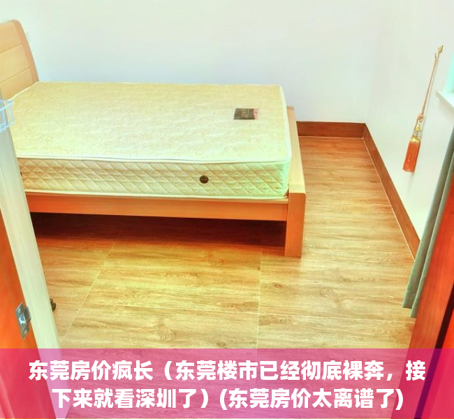 东莞房价疯长（东莞楼市已经彻底裸奔，接下来就看深圳了）(东莞房价太离谱了)