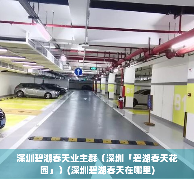 深圳碧湖春天业主群（深圳「碧湖春天花园」）(深圳碧湖春天在哪里)