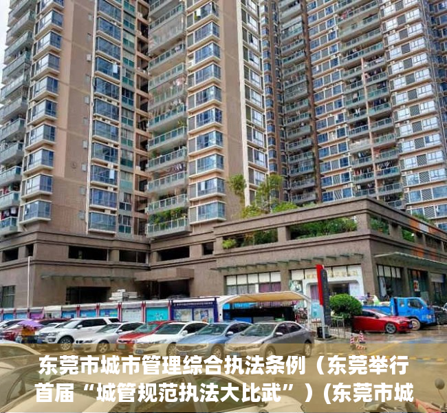 东莞市城市管理综合执法条例（东莞举行首届“城管规范执法大比武”）(东莞市城市管理和综合执法)