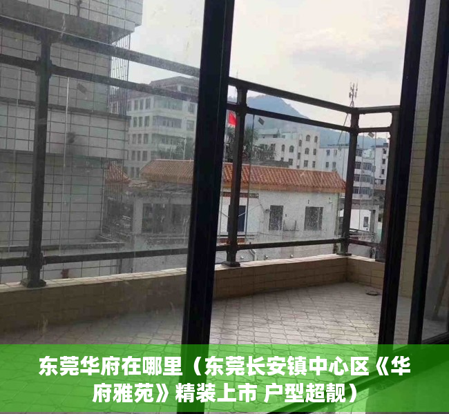 东莞华府在哪里（东莞长安镇中心区《华府雅苑》精装上市 户型超靓）