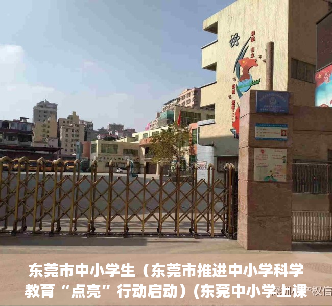 东莞市中小学生（东莞市推进中小学科学教育“点亮”行动启动）(东莞中小学上课时间)