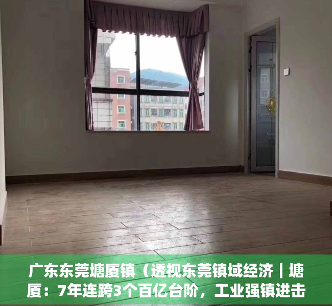 广东东莞塘厦镇（透视东莞镇域经济｜塘厦：7年连跨3个百亿台阶，工业强镇进击新增长极）