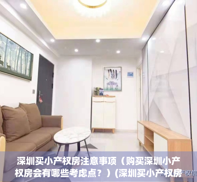 深圳买小产权房注意事项（购买深圳小产权房会有哪些考虑点？）(深圳买小产权房条件)