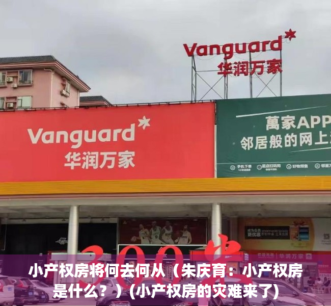 小产权房将何去何从（朱庆育：小产权房是什么？）(小产权房的灾难来了)