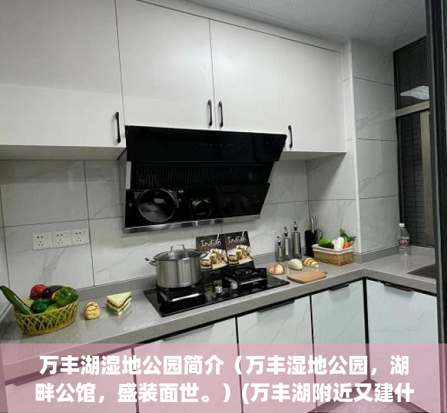 万丰湖湿地公园简介（万丰湿地公园，湖畔公馆，盛装面世。）(万丰湖附近又建什么学校)