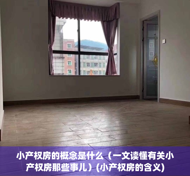 小产权房的概念是什么（一文读懂有关小产权房那些事儿）(小产权房的含义)