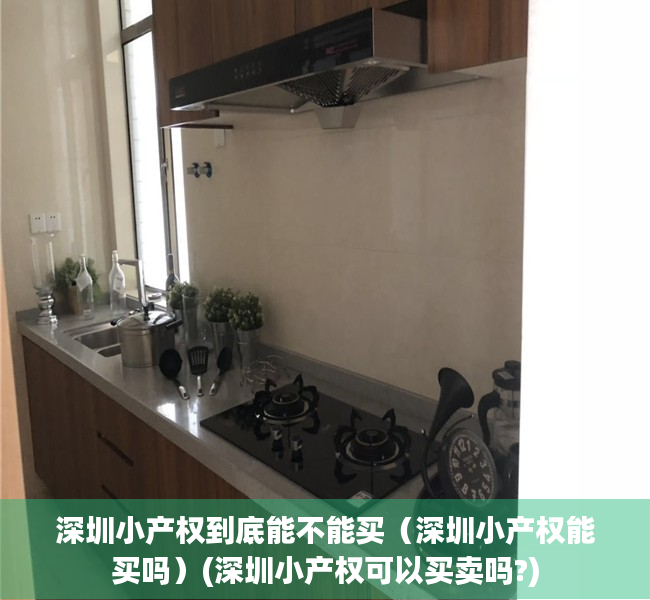 深圳小产权到底能不能买（深圳小产权能买吗）(深圳小产权可以买卖吗?)
