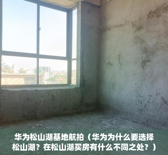 华为松山湖基地航拍（华为为什么要选择松山湖？在松山湖买房有什么不同之处？）