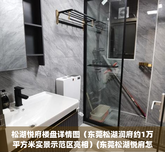 松湖悦府楼盘详情图（东莞松湖润府约1万平方米实景示范区亮相）(东莞松湖悦府怎么样)