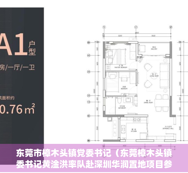 东莞市樟木头镇党委书记（东莞樟木头镇委书记黄淦洪率队赴深圳华润置地项目参观考察）