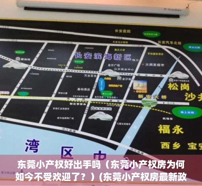 东莞小产权好出手吗（东莞小产权房为何如今不受欢迎了？）(东莞小产权房最新政策出台)