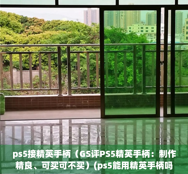ps5接精英手柄（GS评PS5精英手柄：制作精良、可买可不买）(ps5能用精英手柄吗)