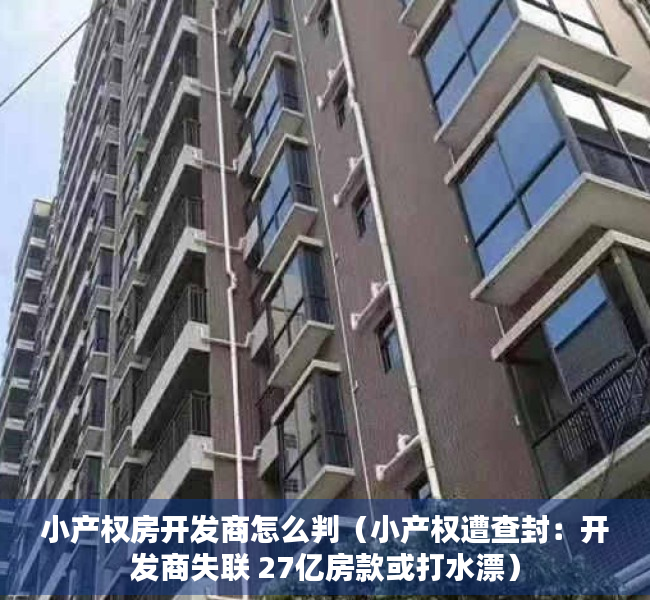 小产权房开发商怎么判（小产权遭查封：开发商失联 27亿房款或打水漂）