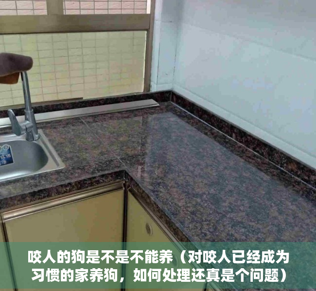 咬人的狗是不是不能养（对咬人已经成为习惯的家养狗，如何处理还真是个问题）