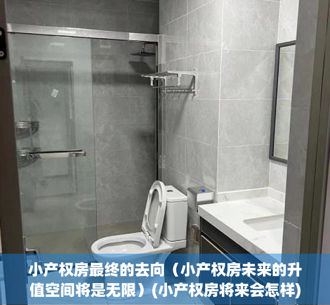 小产权房最终的去向（小产权房未来的升值空间将是无限）(小产权房将来会怎样)