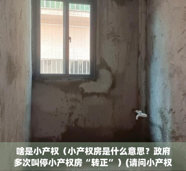 啥是小产权（小产权房是什么意思？政府多次叫停小产权房“转正”）(请问小产权是什么意思)
