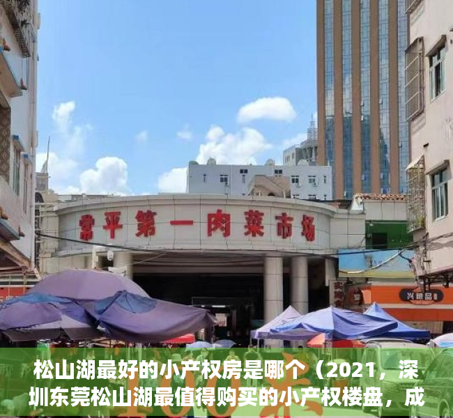 松山湖最好的小产权房是哪个（2021，深圳东莞松山湖最值得购买的小产权楼盘，成交率高达五比一）