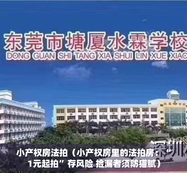小产权房法拍（小产权房里的法拍房：“1元起拍”存风险 捡漏者须防猫腻）